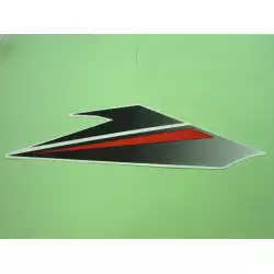 FR COVER LH STRIPE TYPE1