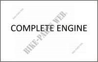 COMPLETE MOTOR voor SYM ORBIT II (25 KMH) 50 (AE05W1-6) (K9-L5) 2014