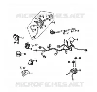 KABELBOOM voor SYM SYMPHONY SR 50 (AZ05W5-T) (L6) 2016