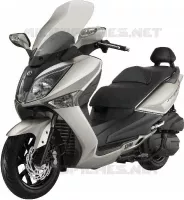 SILVER (S7 S) voor SYM GTS 125 EFI (LN12W1-F) (L2) 2012