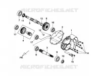 TRANSMISSIE DEKSEL   BALANSAS voor SYM GTS 125 EFI (LN12W1-F) (L2) 2012