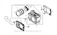 CILINDER voor SYM GTS 125 EURO 3 (LM12W3-6) (K8) 2008