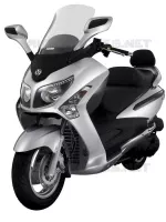 SILVER (S 421S) voor SYM GTS 125 EURO 3 (LM12W3-6) (K8) 2008