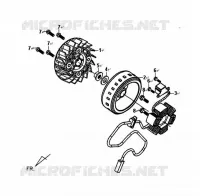 AC GENERATOR ASSY voor SYM SYMPHONY 125 (AY12W1-T) (L1) 2011