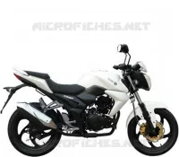 WHITE (WH-8018P)  125 sym-motorfietsen 2018 WOLF SB125NI (PU12EA-EU) (L8-M0) 4