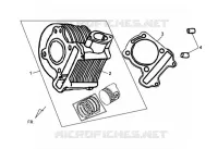 CILINDER voor SYM SYMPLY 150 (AV15W1-5) (L1) 2021