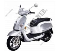 SILVER/WHITE (S 880S/WH 006) voor SYM GTS 125I (LN12W6-FR) (L6) 2016
