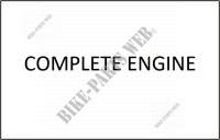 COMPLETE MOTOR voor SYM GTS 125I (LN12W2-FR) (L4) 2014
