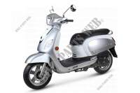 SILVER/WHITE (S 88S/WH 006) voor SYM GTS 125I (LN12W2-FR) (L4) 2014