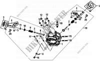 CILINDERKOP voor SYM FIDDLE III 50 (45 KMH) (XA05W1-EU) (L4-L7) 2014